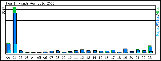 Hourly usage
