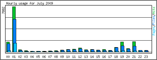 Hourly usage