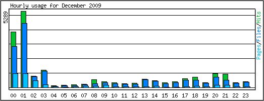 Hourly usage