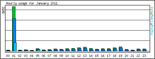 Hourly usage