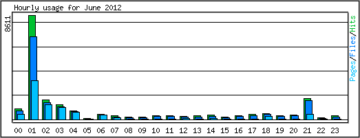 Hourly usage
